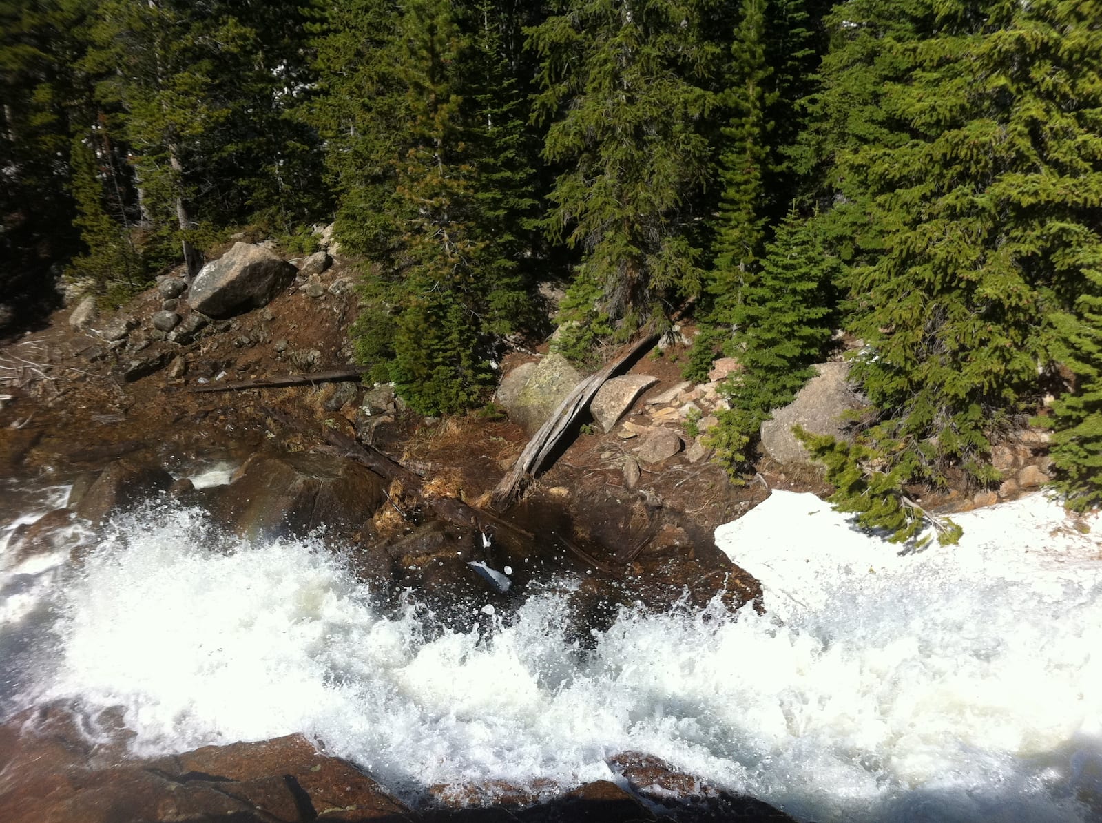 Alberta Falls RMNP Estes Park CO