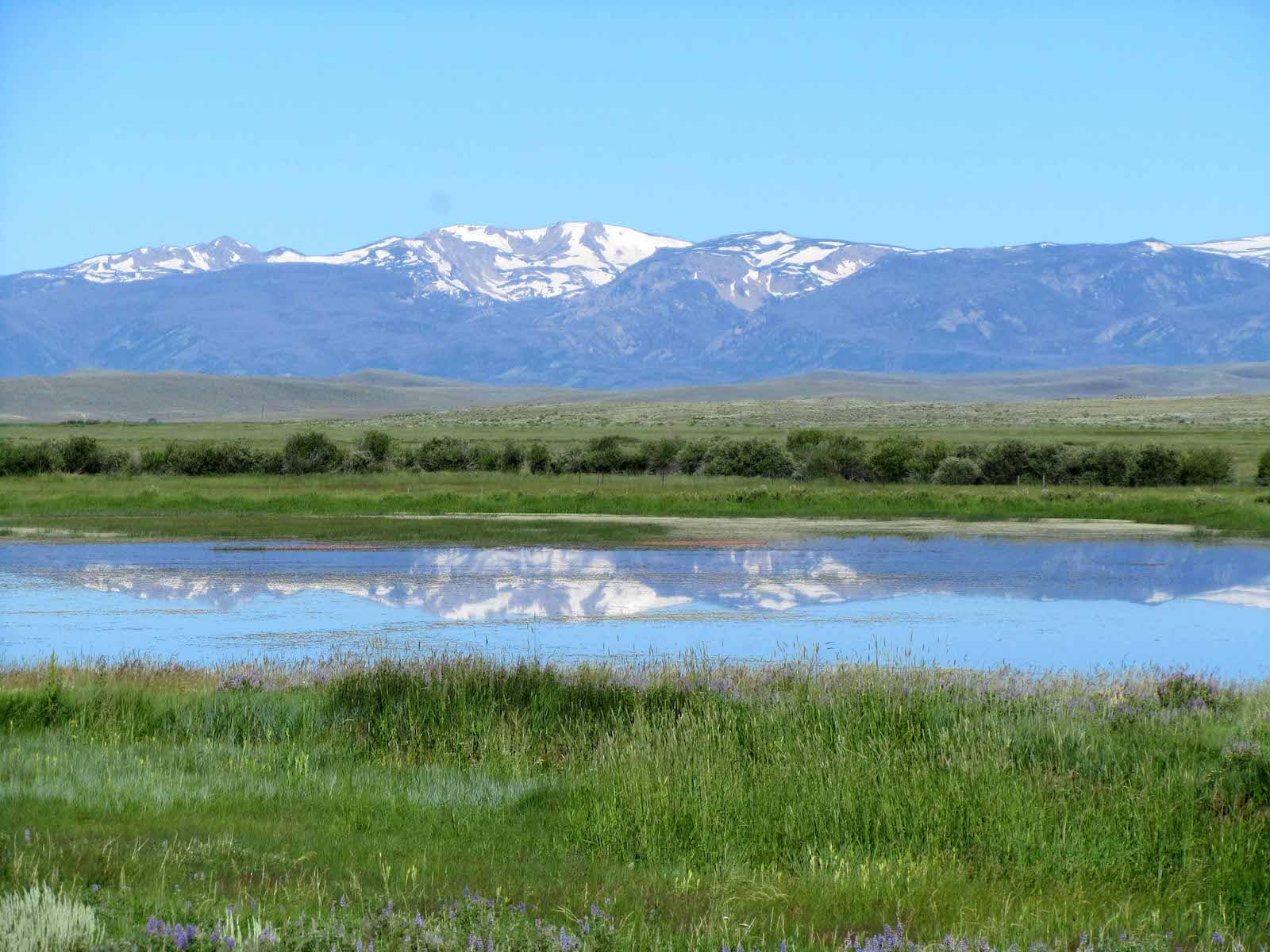Arapaho National Wildlife Refuge Jackson County Colorado
