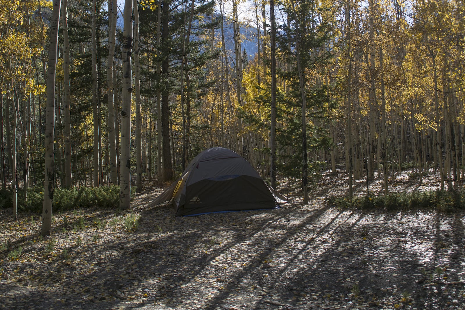 Tent Camping near Collegiate Peaks Buena Vista CO