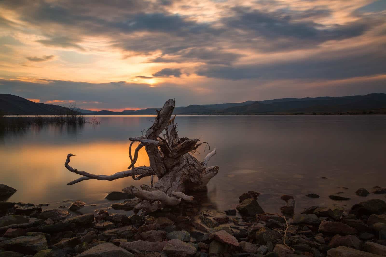 Blue Mesa Reservoir Driftwood Curecanti National Recreation Area Colorado