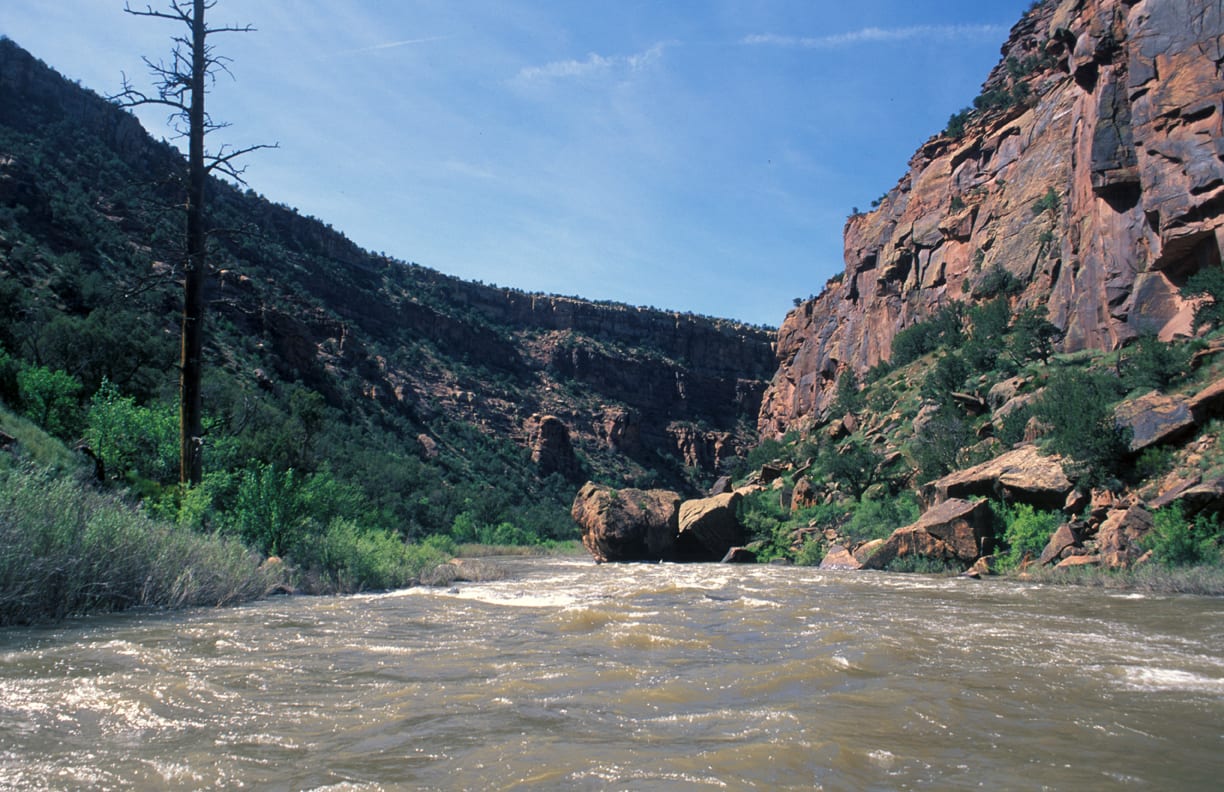 Dolores River Whitewater Rafting – Cortez, CO | Multi-Day Trips