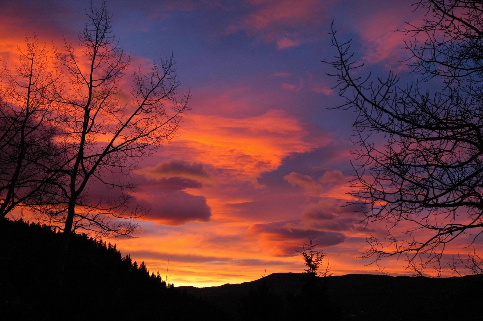 Evergreen Colorado Sunrise with Pink, Yellow and Blue Colors