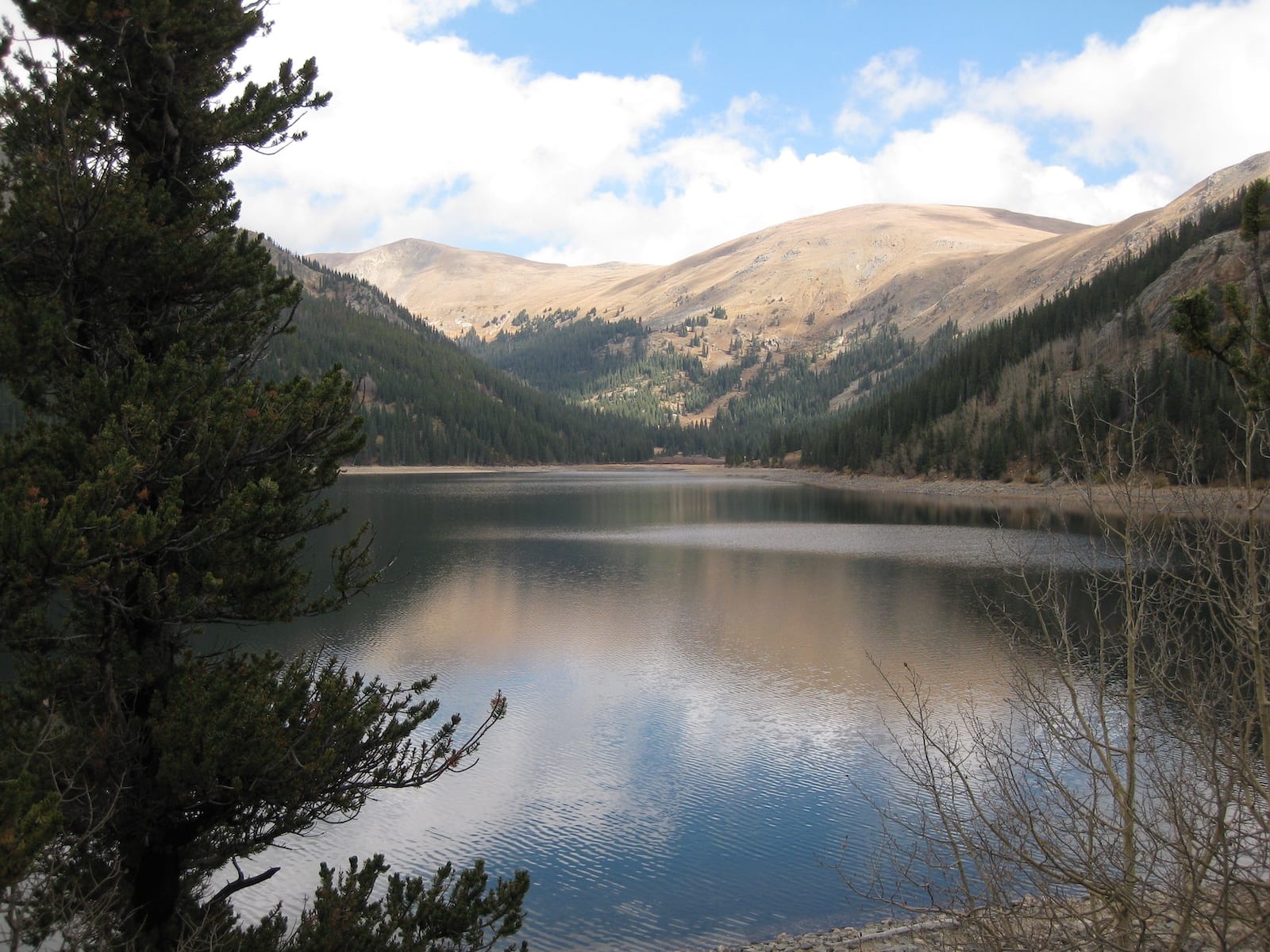 Jefferson Lake Colorado Fall