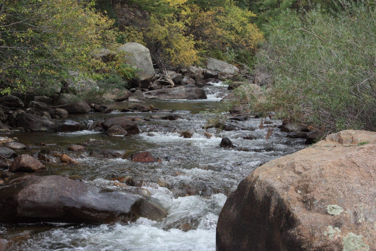 Lyons CO Saint Vrain Creek by Highway 7