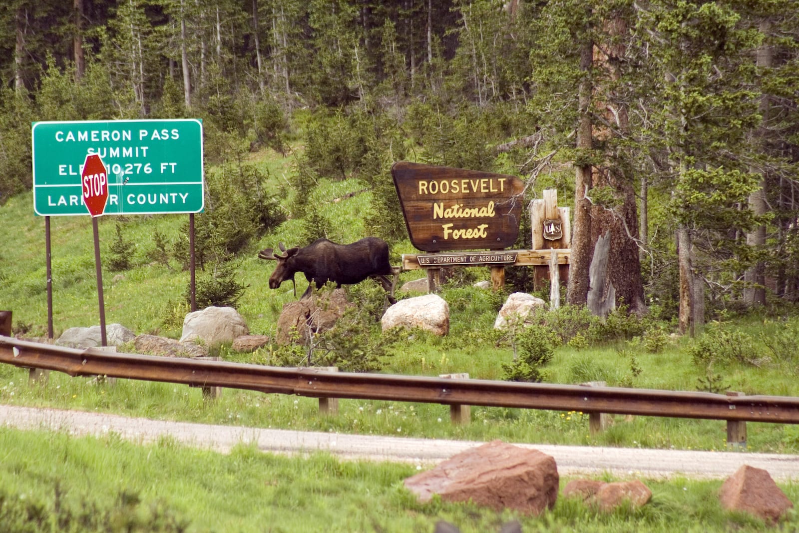 Moose Cache-La-Poudre-North Park Byway Cameron Pass Roosevelt National Forest Sign