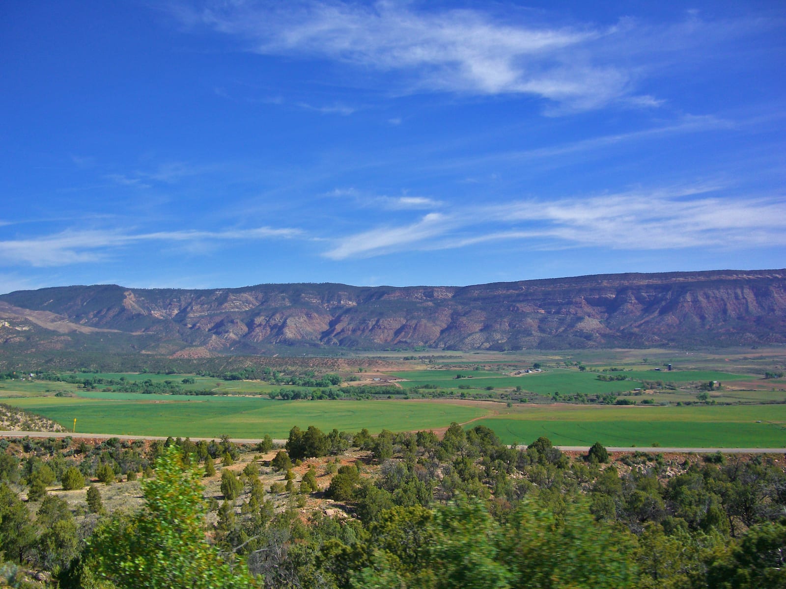 Naturita Colorado Landscape