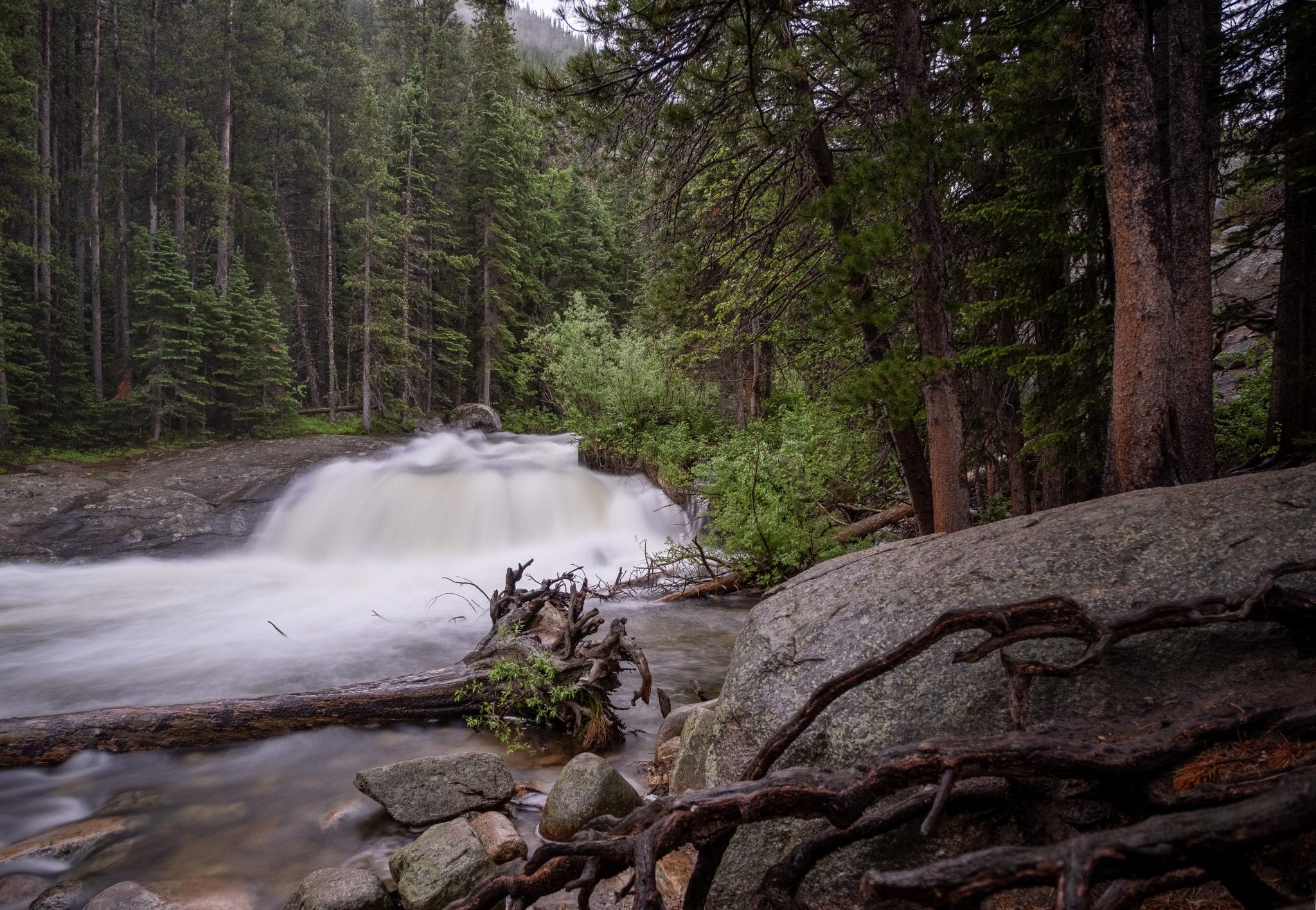 North Saint Vrain Creek RMNP Allenspark CO