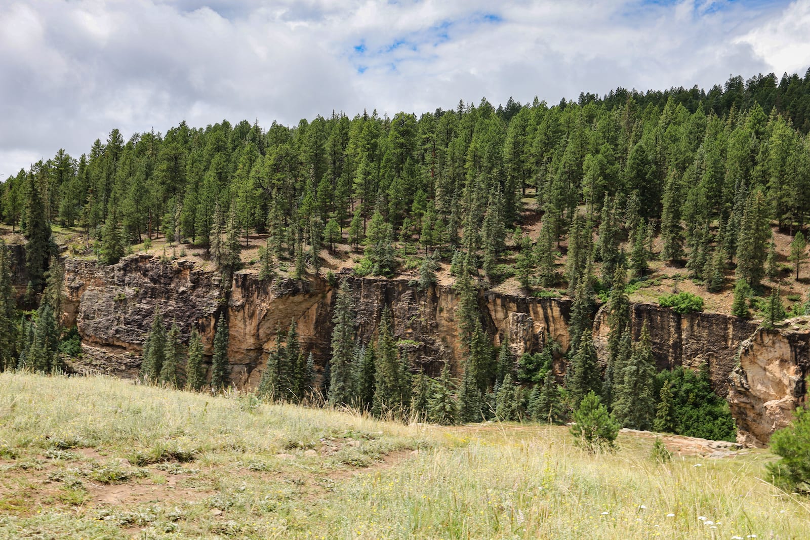 Piedra River Canyon Pagosa Springs CO