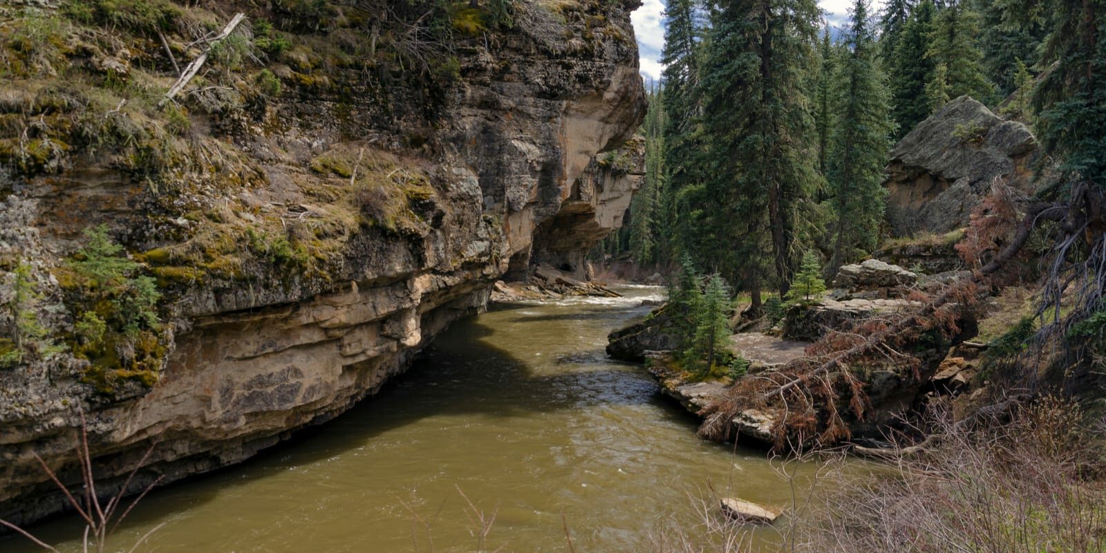 Piedra River Pagosa Springs CO