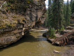 Piedra River Pagosa Springs CO