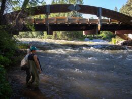 Roaring Fork River Aspen CO