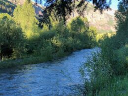 San Miguel River Telluride CO