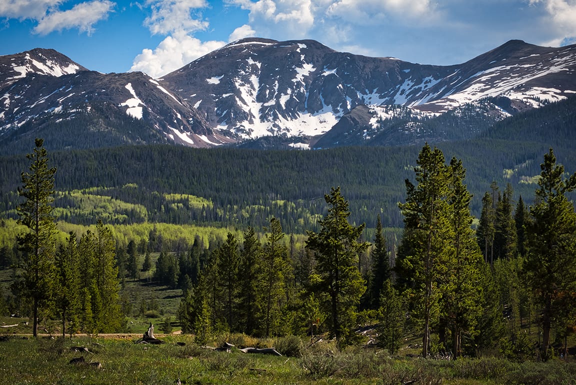 State Forest State Park Medicine Bow Mountain Vista Colorado