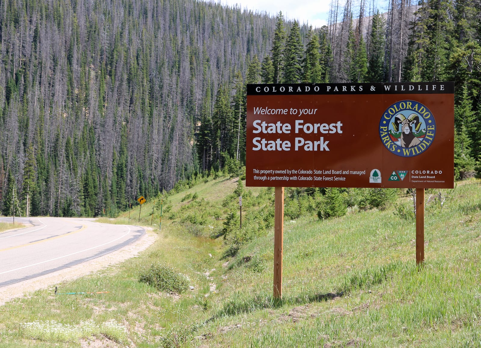 State Forest State Park Sign Gould CO