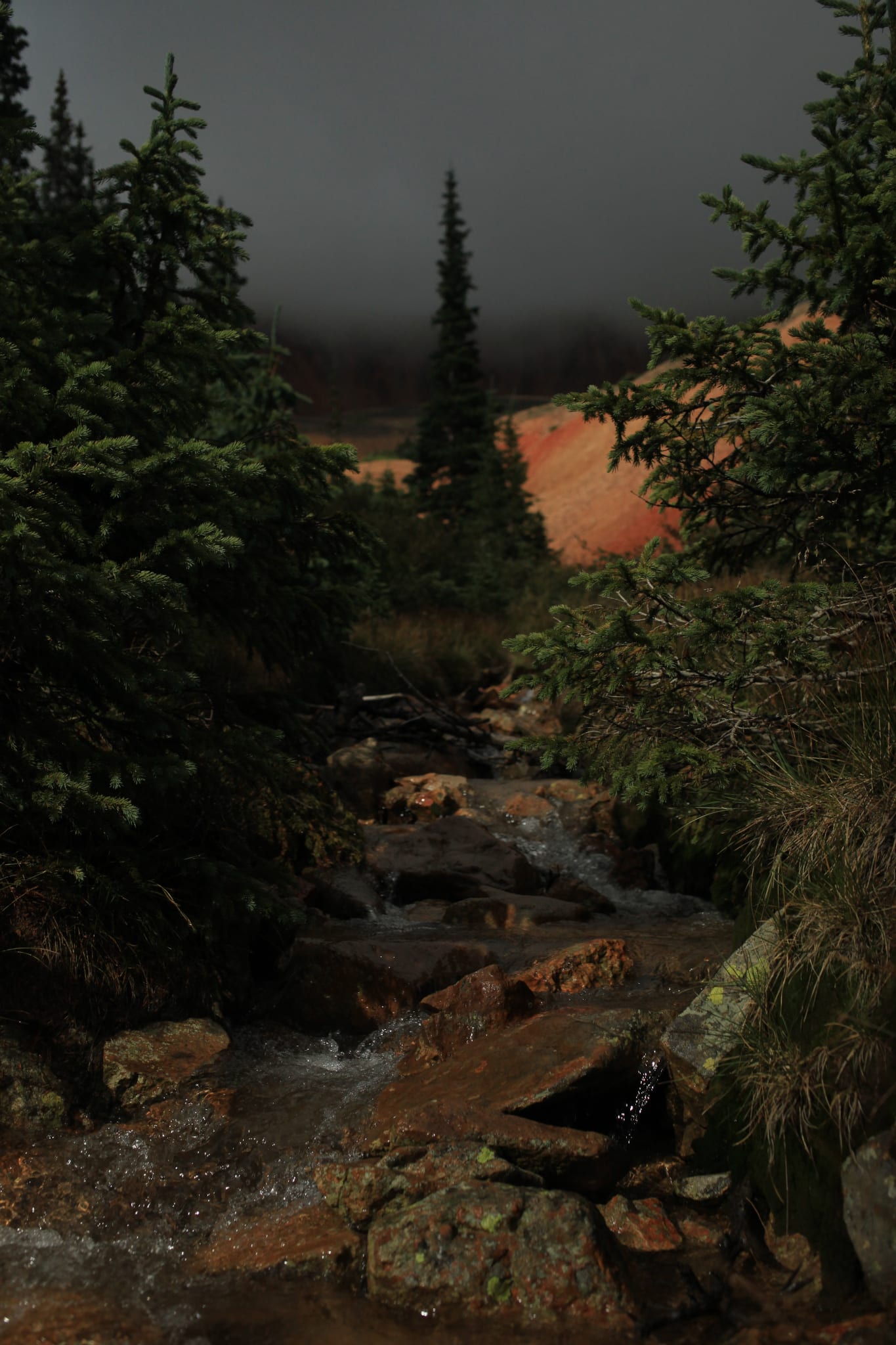 Webster Pass Colorado View of River