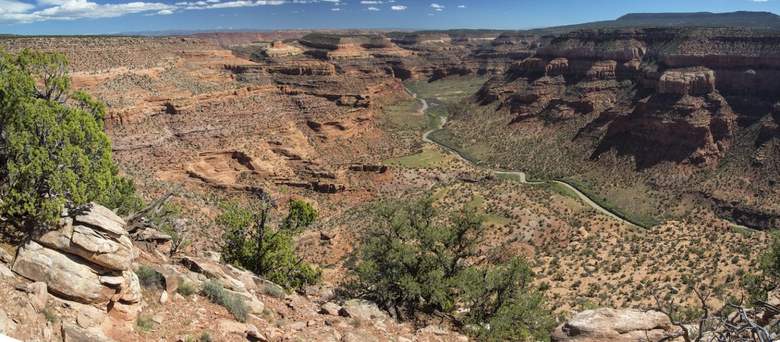 Dolores River near Dolores, CO San Juan National Forest