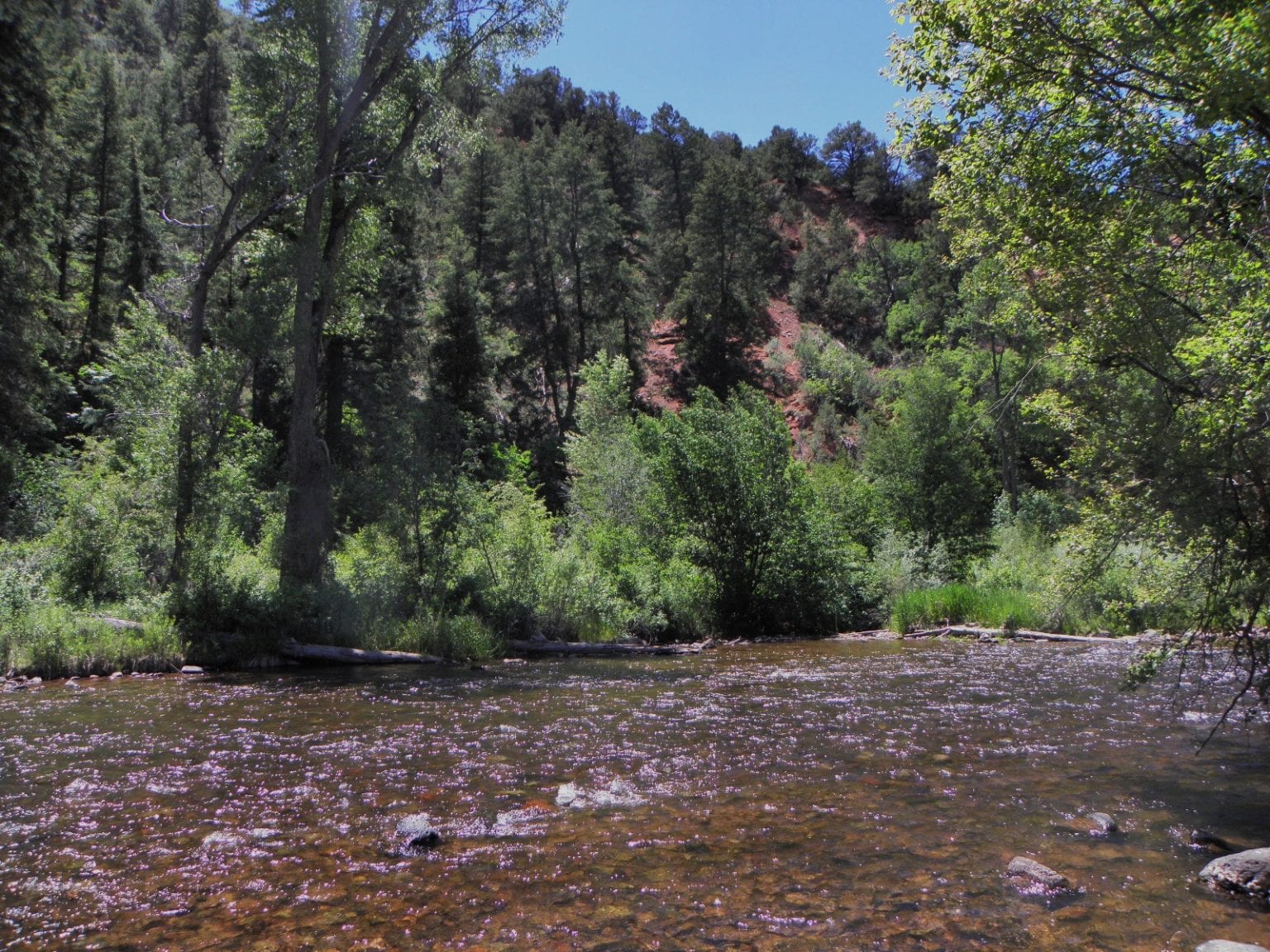 Fryingpan River near Basalt, CO White River National Forest