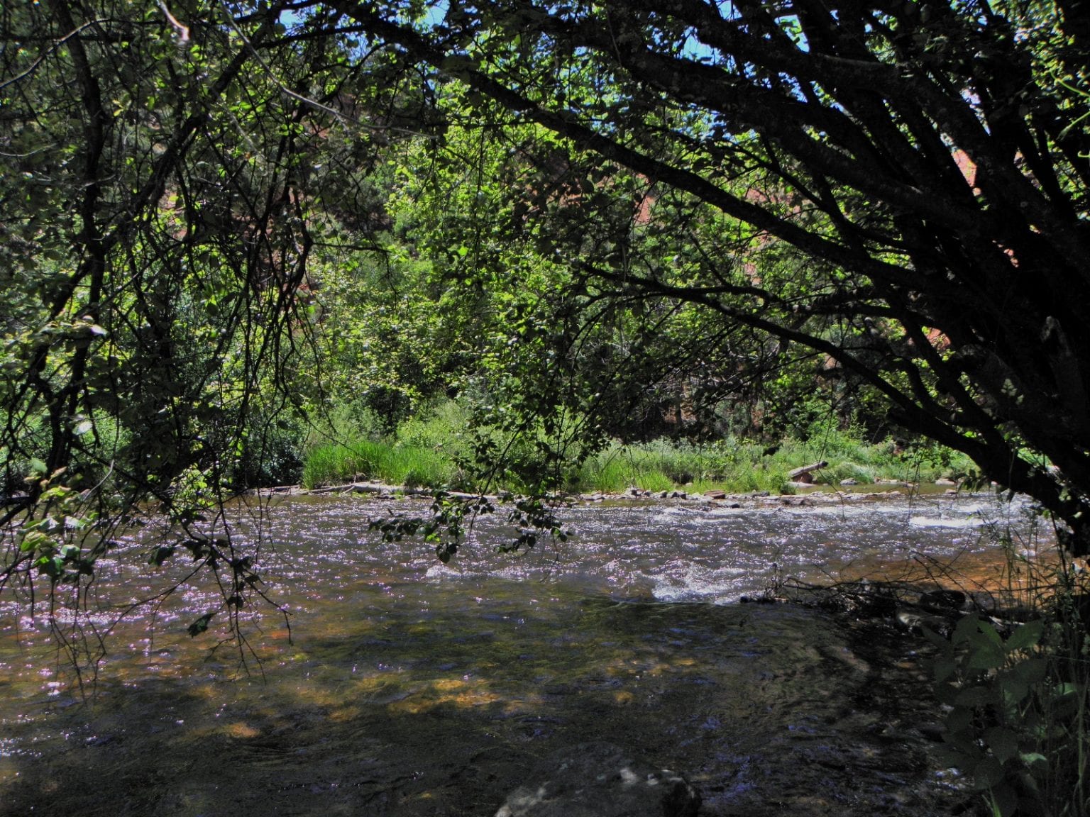 Fryingpan River near Basalt, CO White River National Forest