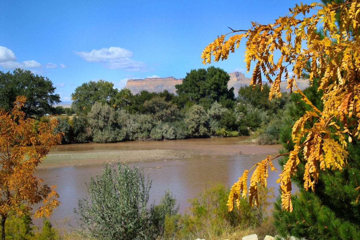 Green River near Dinosaur, CO