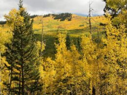 kenosha pass in the fall