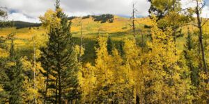 kenosha pass in the fall