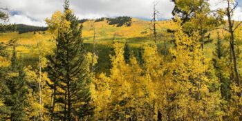 kenosha pass in the fall