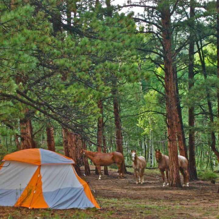 M Lazy C Ranch, CO