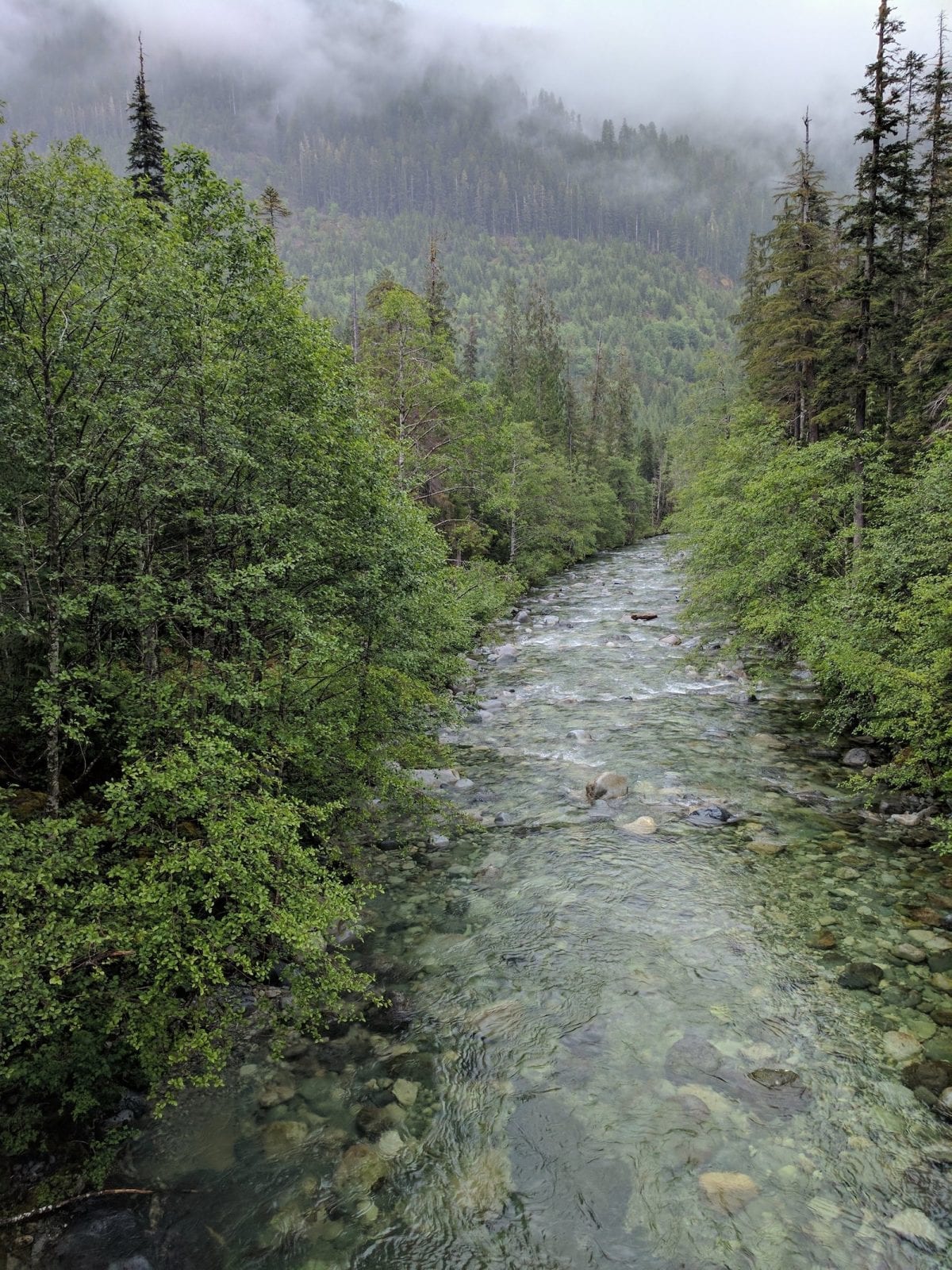 Taylor River, CO