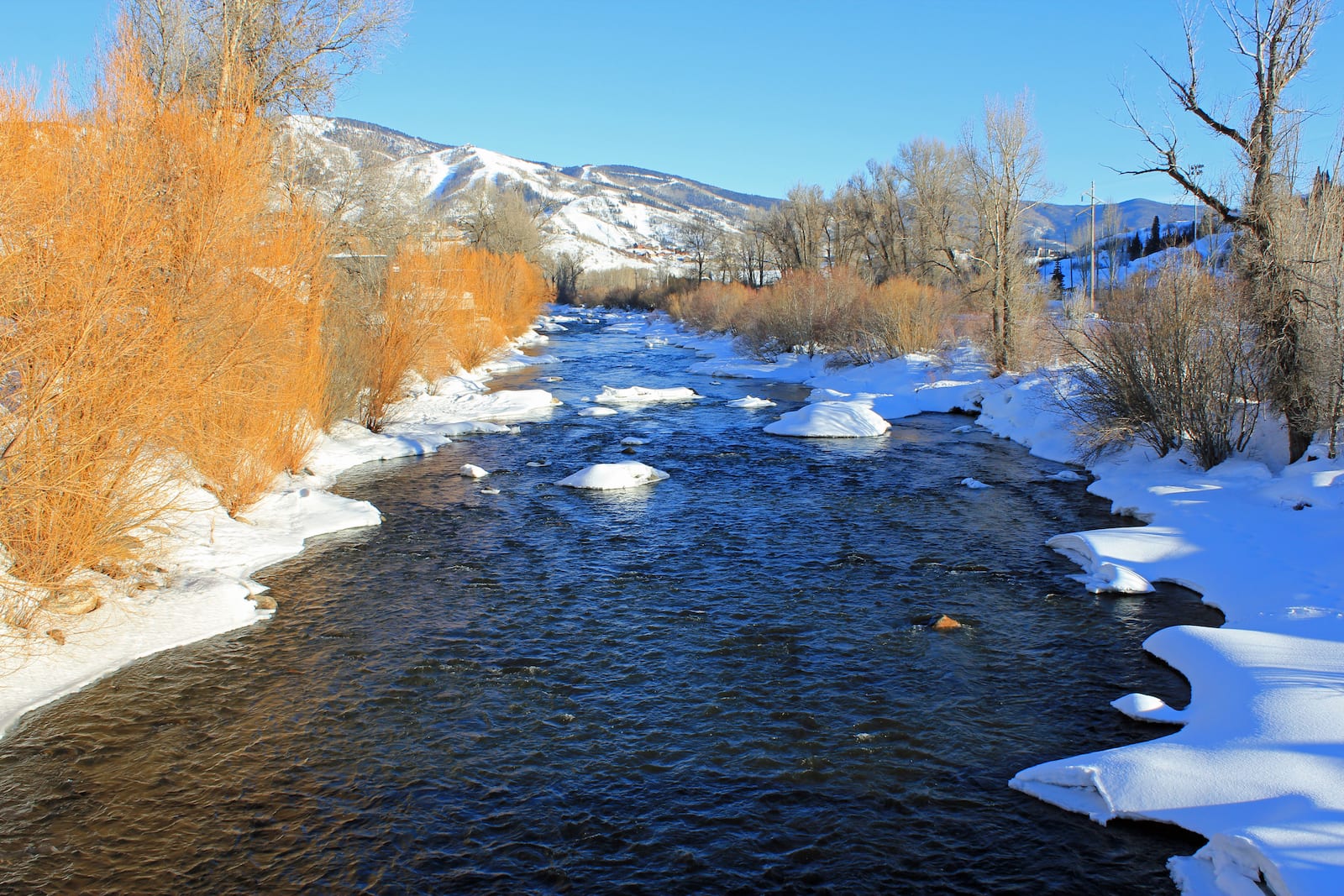 Yampa River, CO