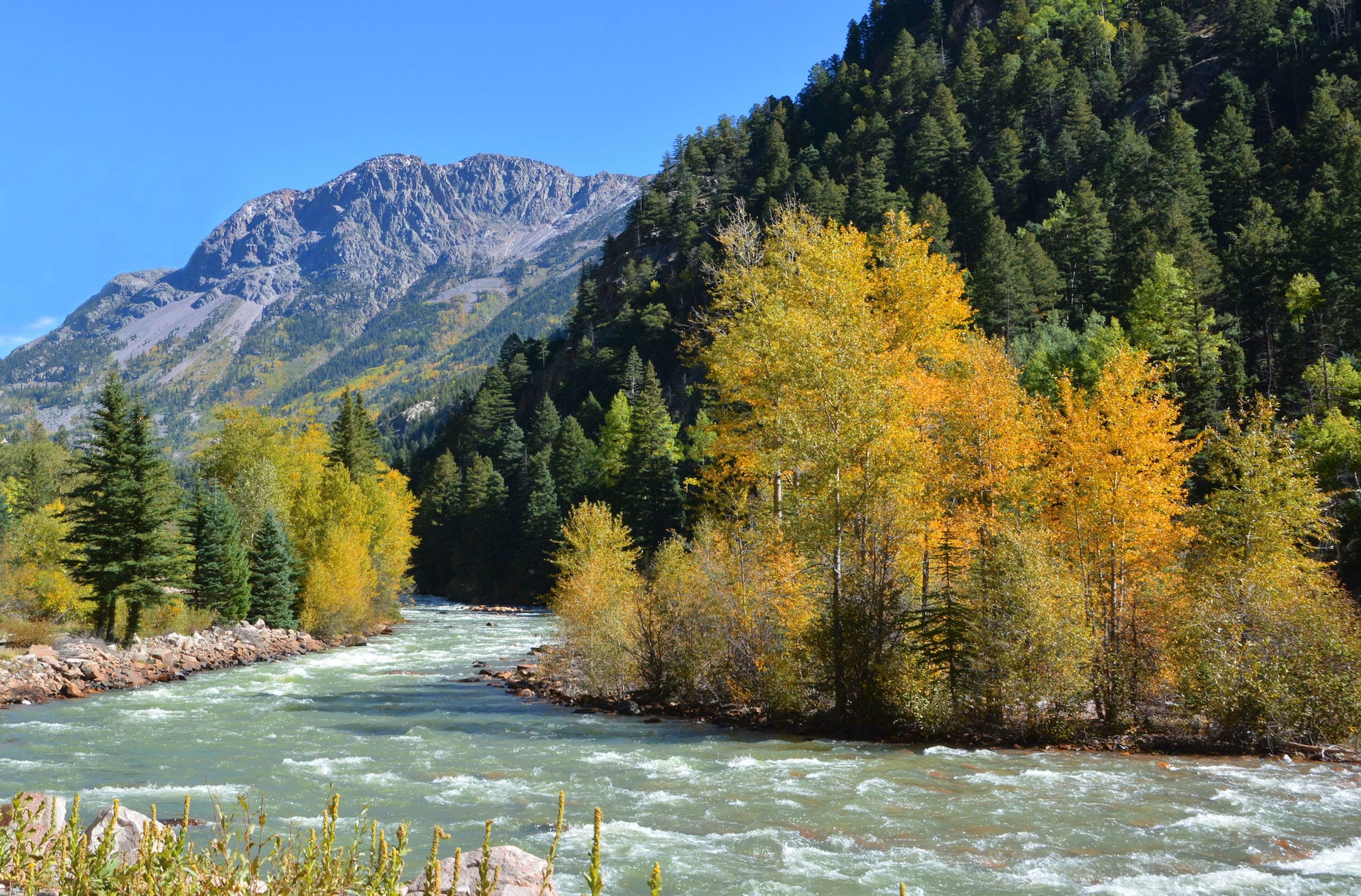 Animas River Durango CO Early Fall Colors