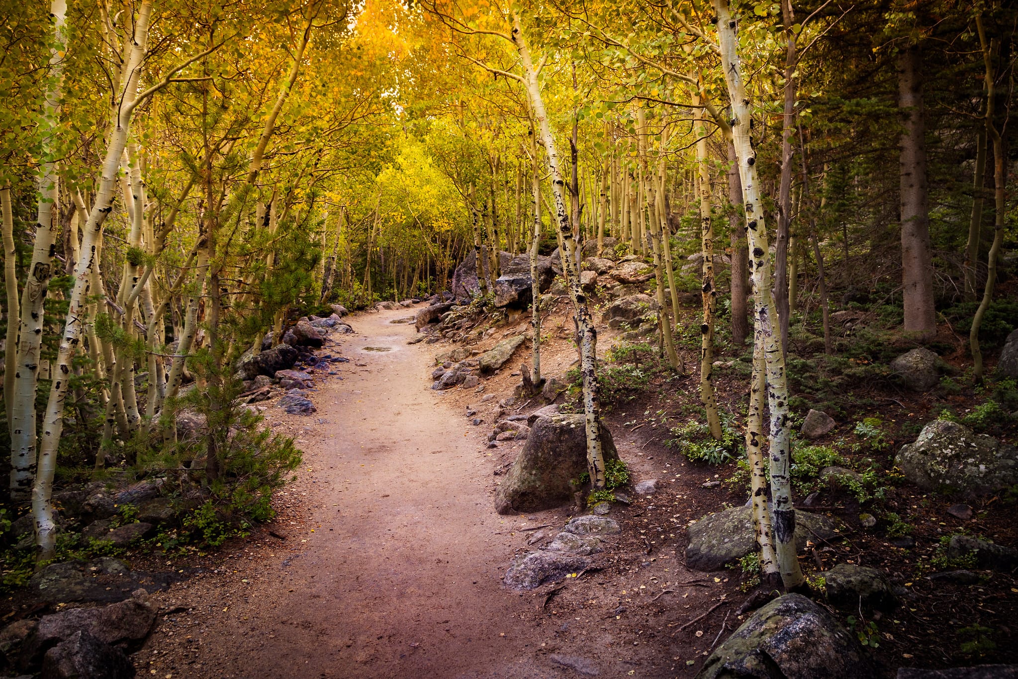 trail to alberta falls in rocky mountain national park