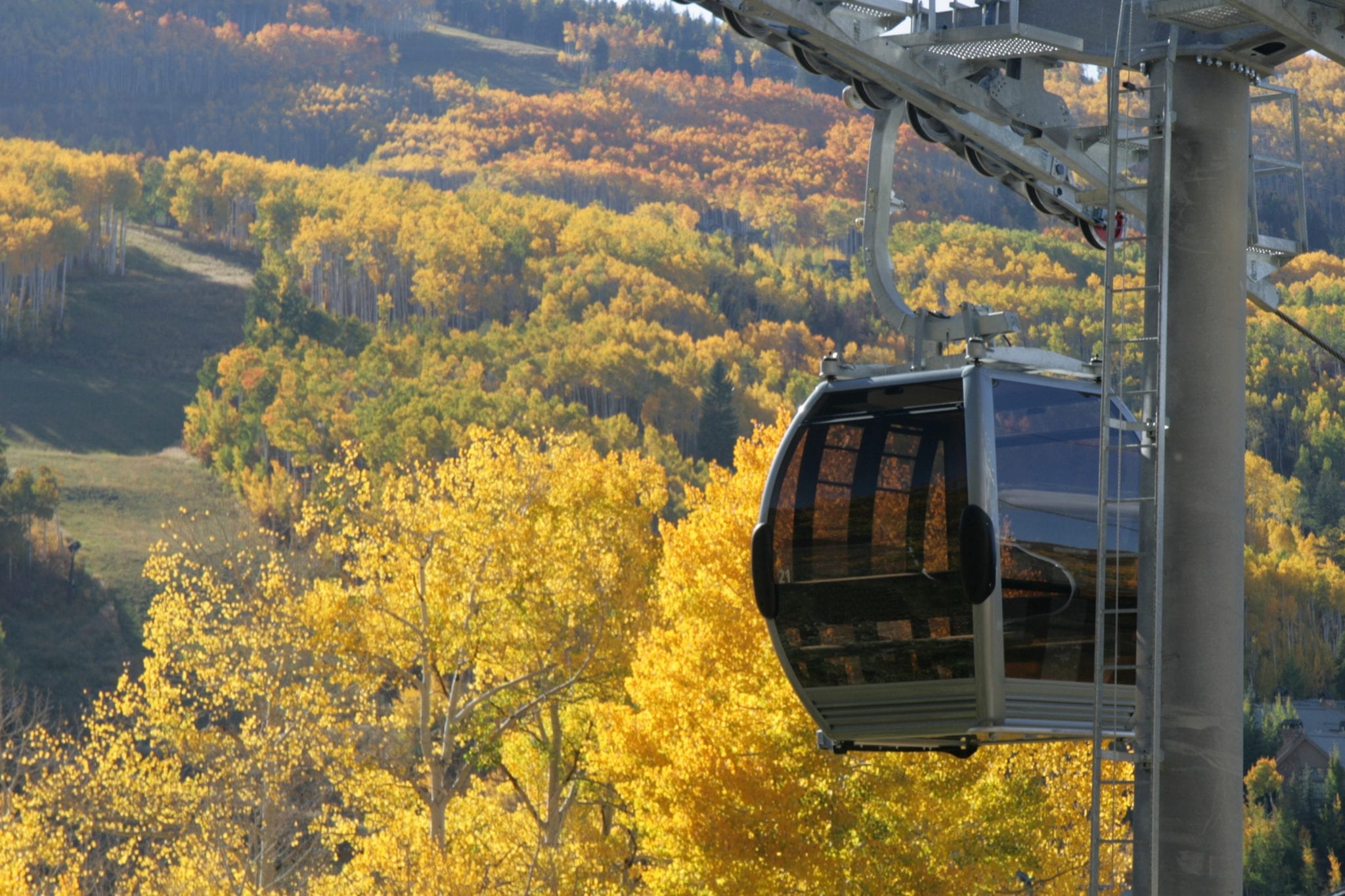 berrypicker trail vail gondola