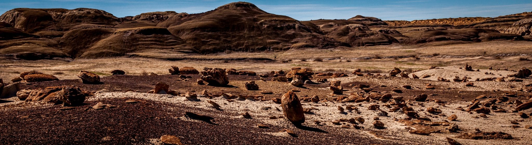 Bisti Badlands Wilderness Rock Garden New Mexico