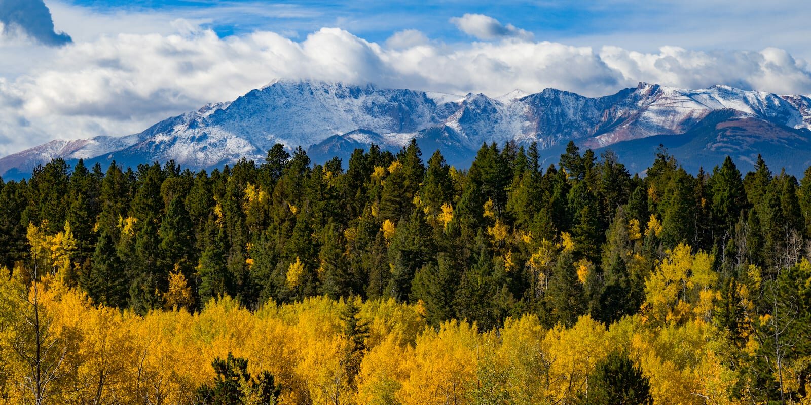 Chipita Park Colorado Fall Colors