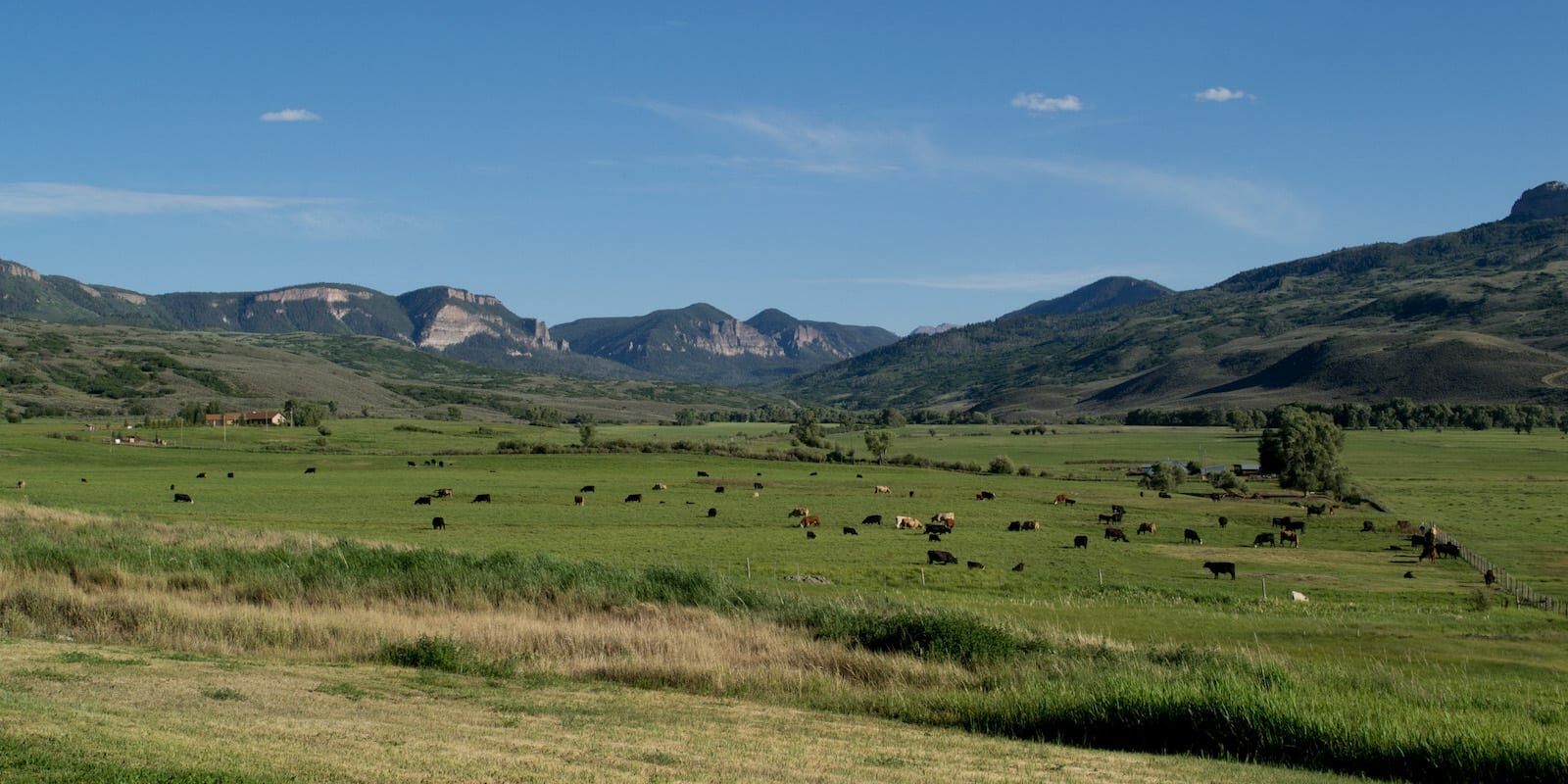 Cimarron CO US-50 Cattle Ranch