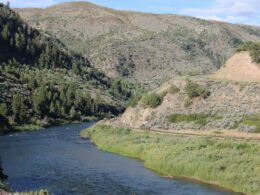 Colorado River State Bridge CO