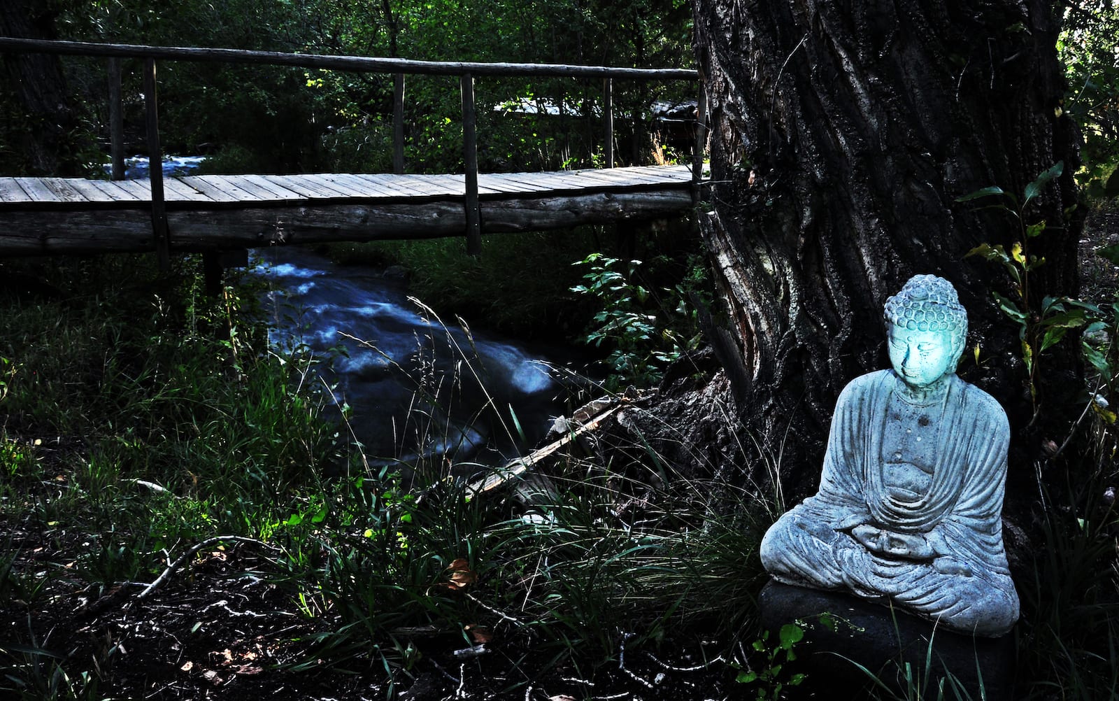 Crestone Colorado Meditating Buddha Statue