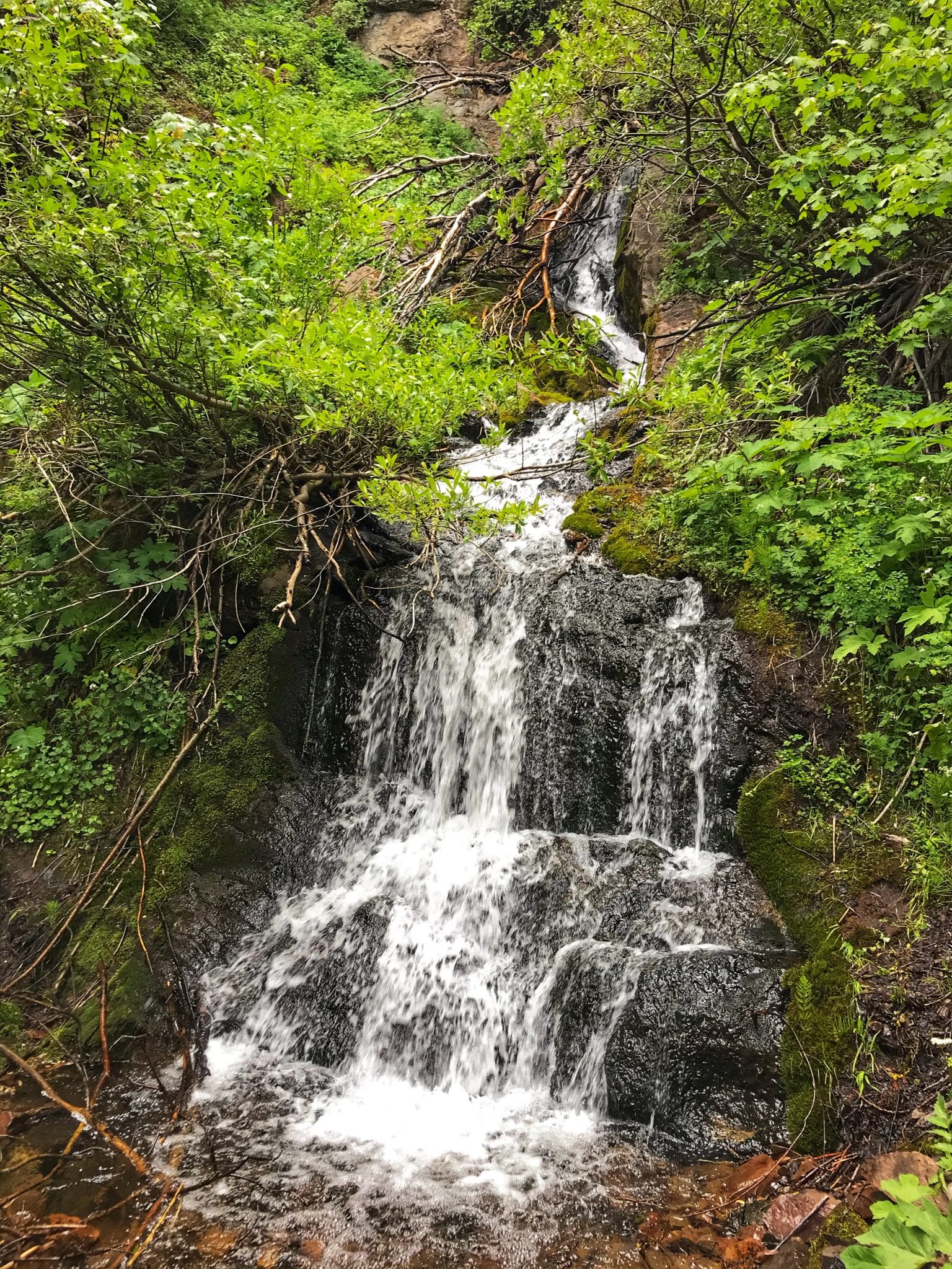 image of crystal falls westcliffe