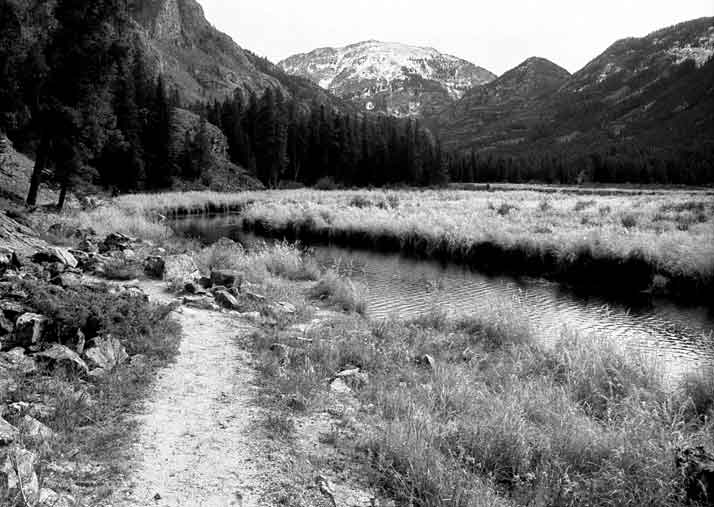 East Inlet Trail Rocky Mountain National Park Grand Lake Colorado