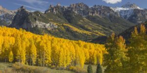 fall colors in rocky mountain national park