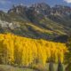 fall colors in rocky mountain national park