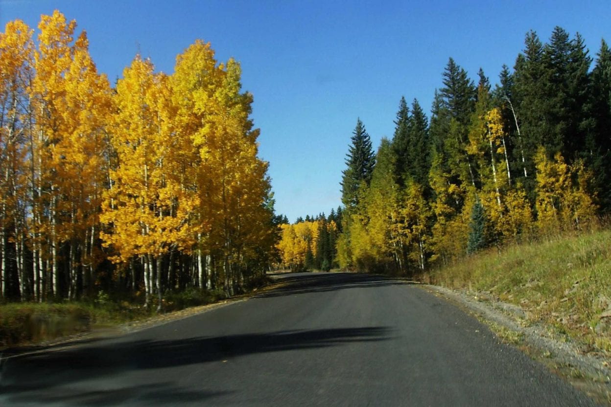 Grand Mesa National Scenic Byway – Mesa-Collbran, CO  CO-95 N