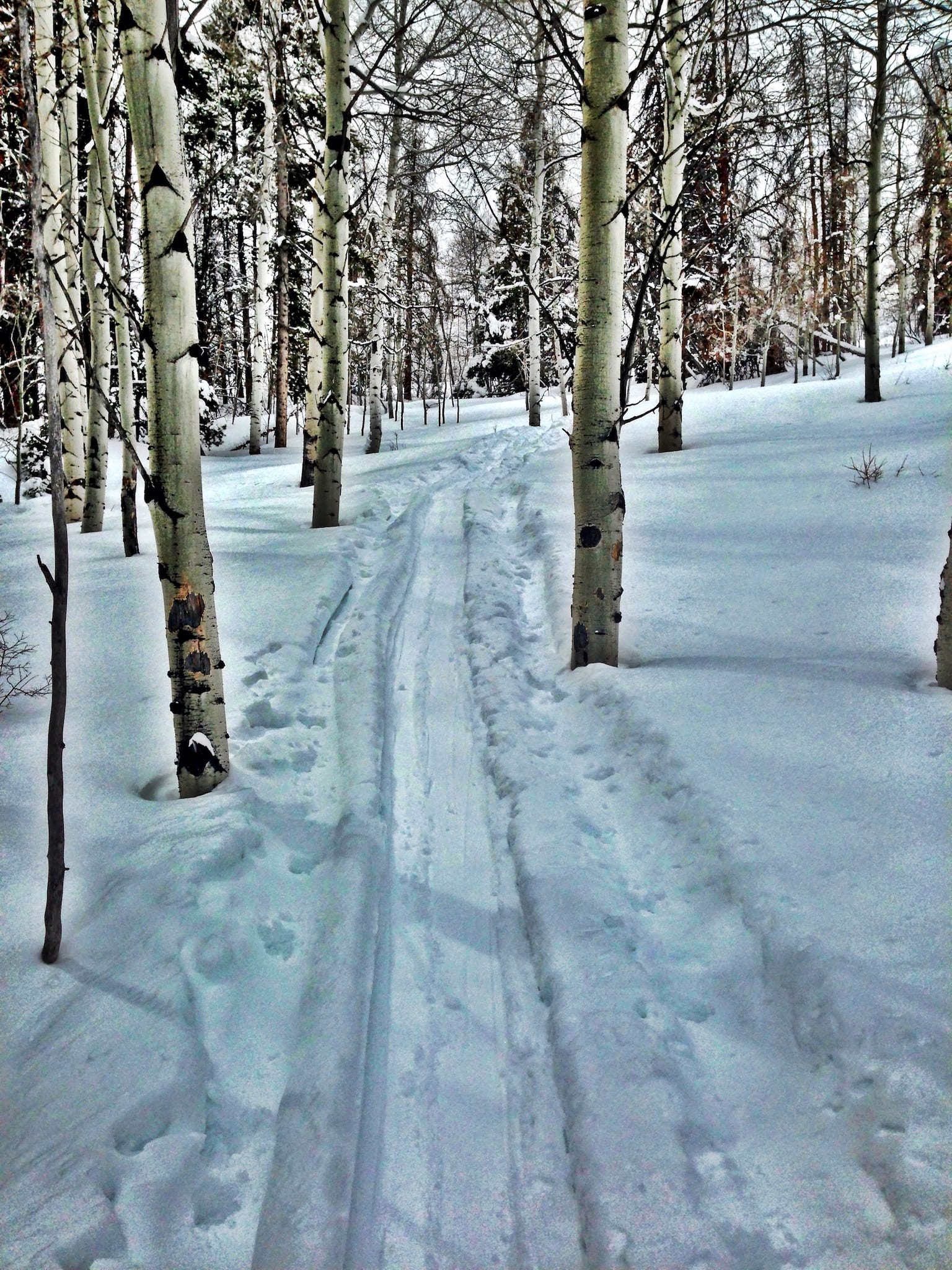 Jalur Gunung Meadow Vail Colorado