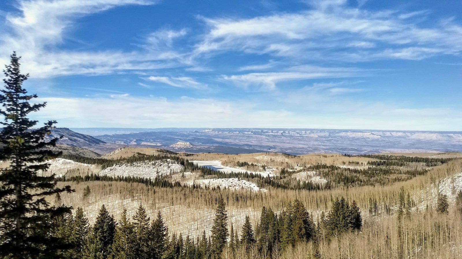 Mesa Colorado