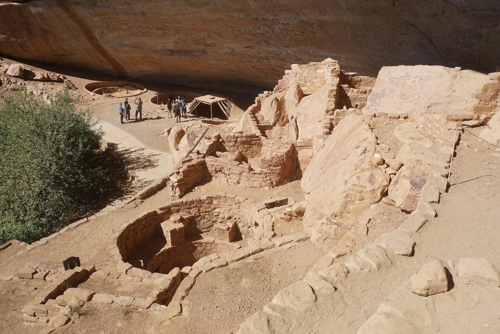 Step House Ruins Mesa Verde National Park Colorado
