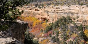 Ancient Cliff Dwellings Autumn Colors Mesa Verde National Park Colorado