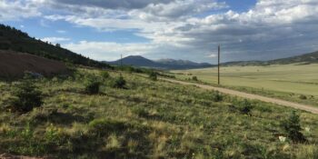 Colorado Native Plants Landscaping Fairplay CO