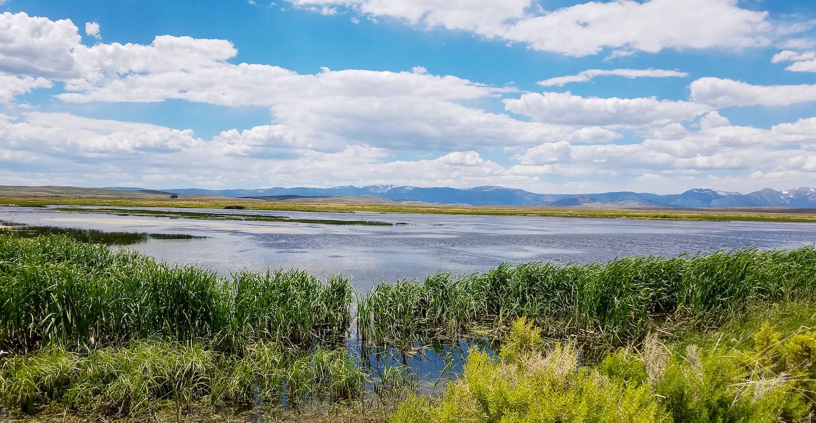 Arapaho National Wildlife Refuge North Park Colorado