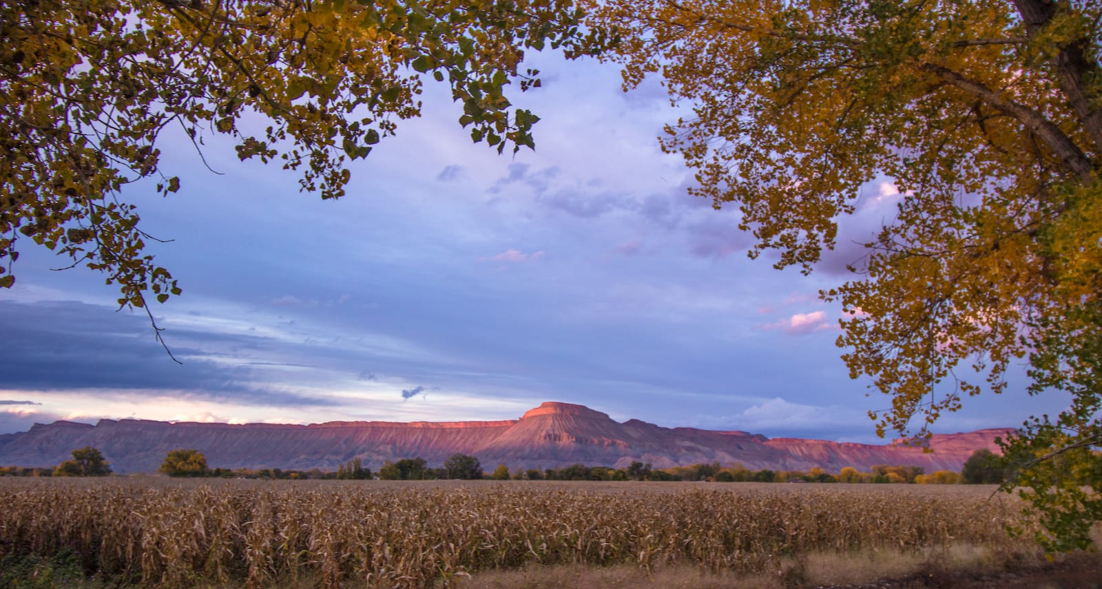 Palisade CO Grand Valley Farm