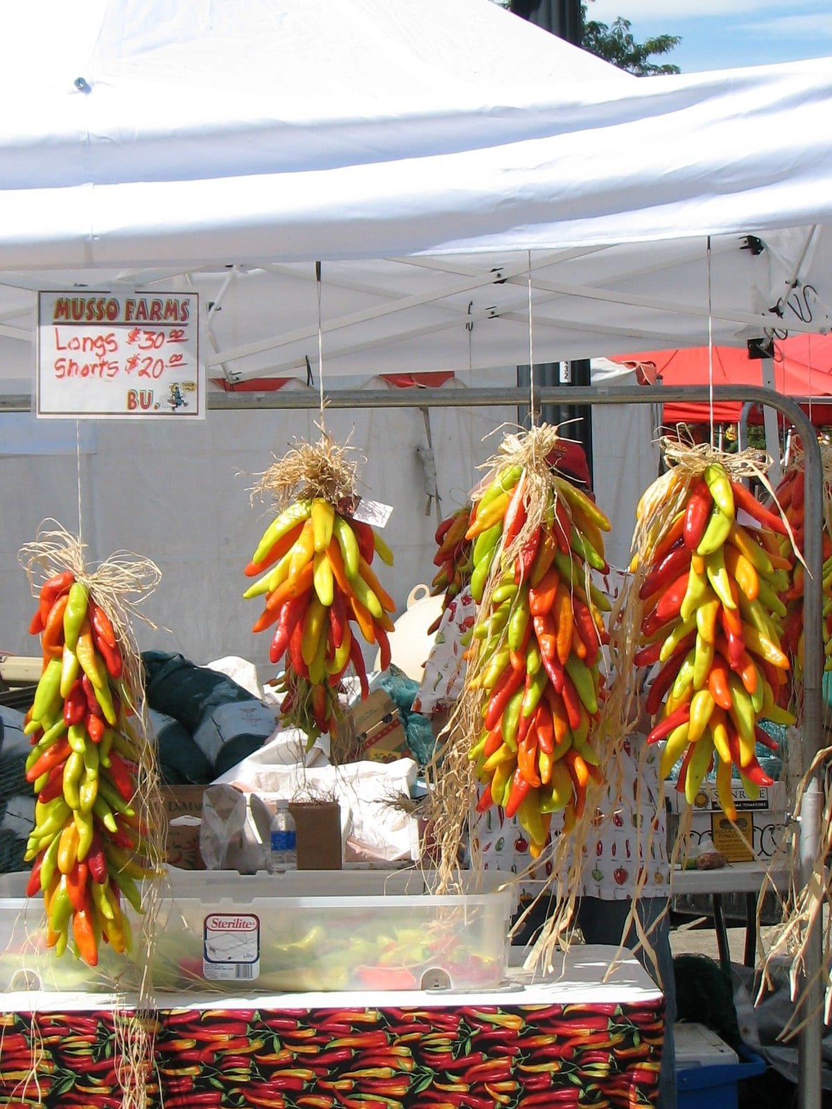 pueblo chile di pasar petani